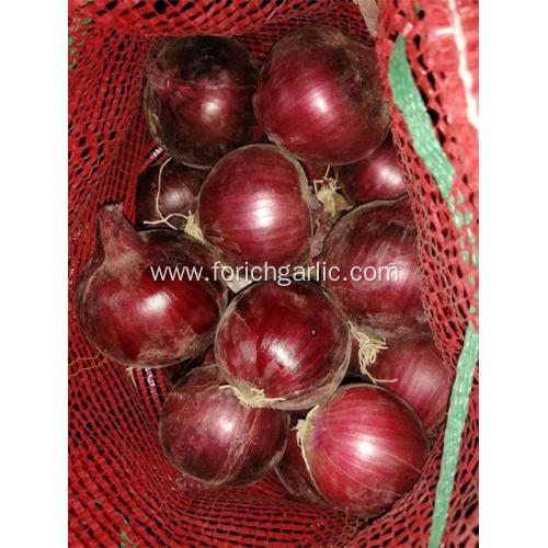 Healthy Good Fresh Red onion